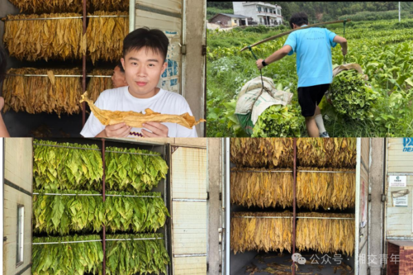 a0d22e3880bc77a38890de6d78c50413.png a0d22e3880bc77a38890de6d78c50413.png