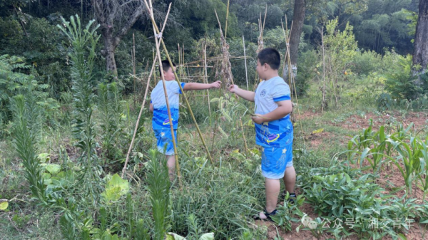 1df86a92cb0e756590e29dbda33338e5.png 1df86a92cb0e756590e29dbda33338e5.png