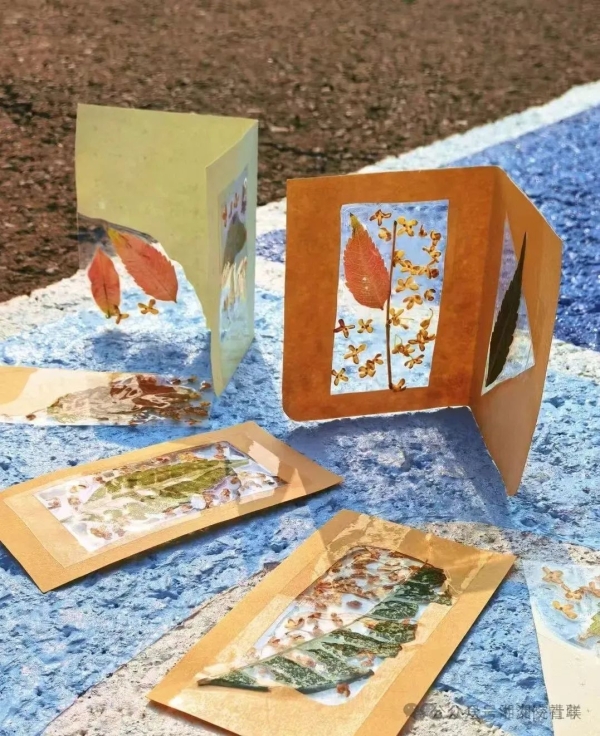 微信图片_20241129192529.jpg 微信图片_20241129192529.jpg