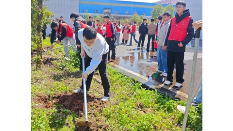 以树为笔，书写生态诗篇——电气与信息工程学院师生共植青春绿意
